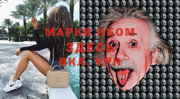 прущие грибы Семёнов