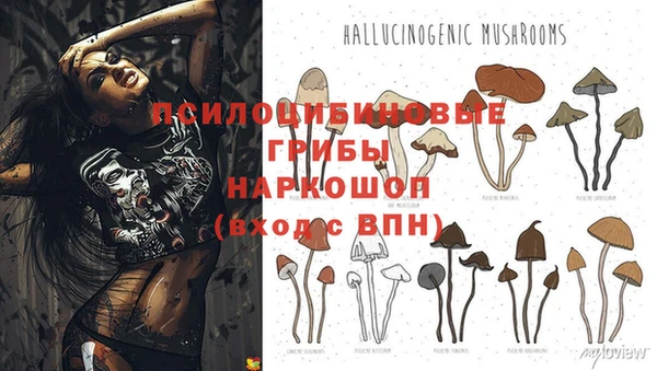 прущие грибы Семёнов