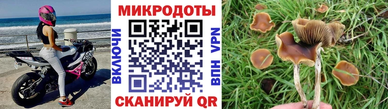 Галлюциногенные грибы прущие грибы Купить Прохладный